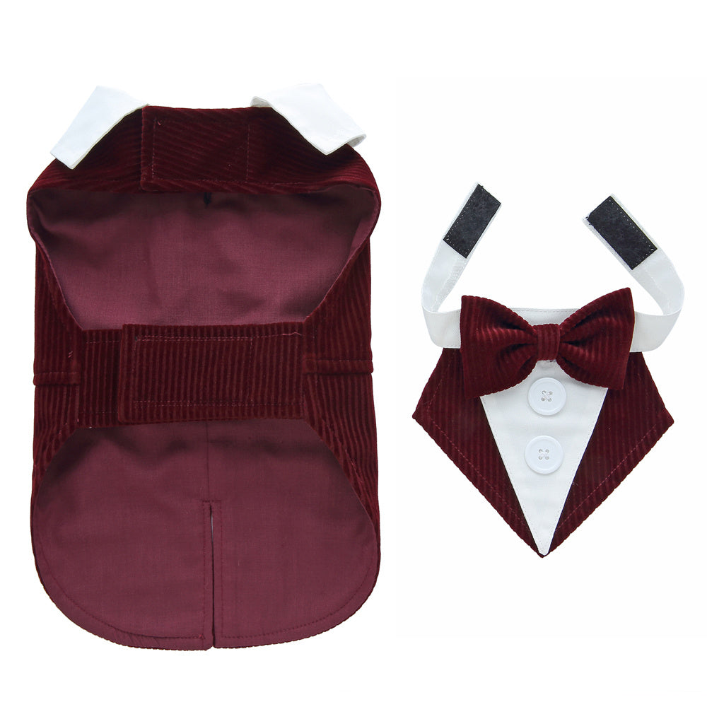 Maroon dog tuxedo with white shirt and bow tie on a white background