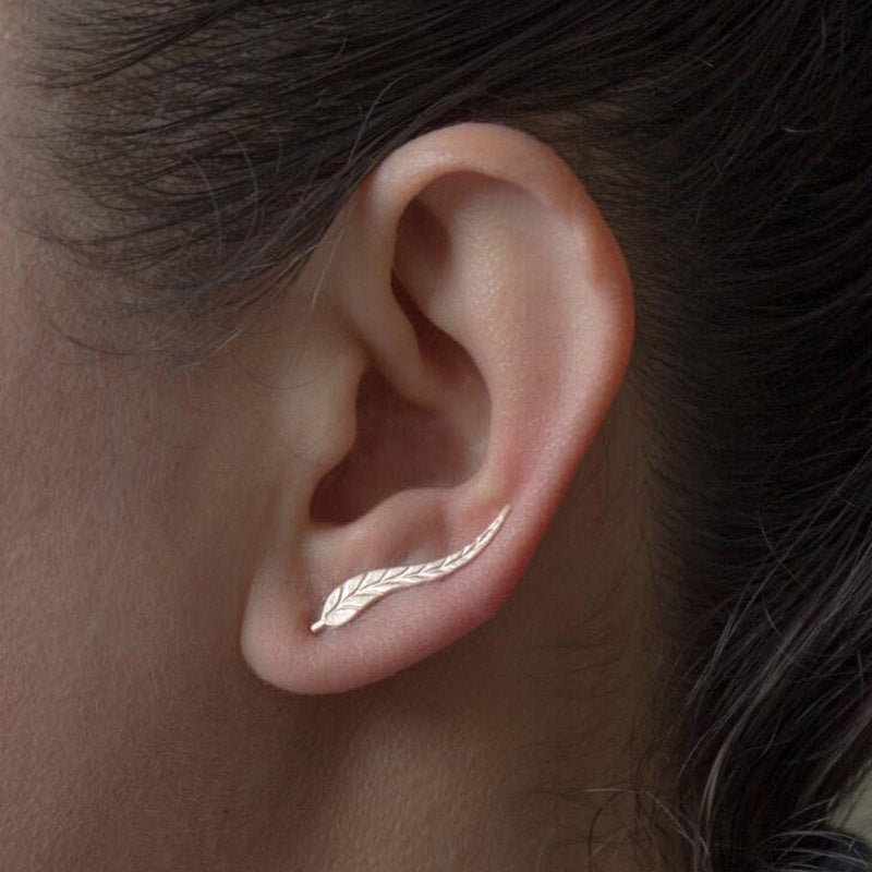 Geography-Themed Mountain Ear Climber