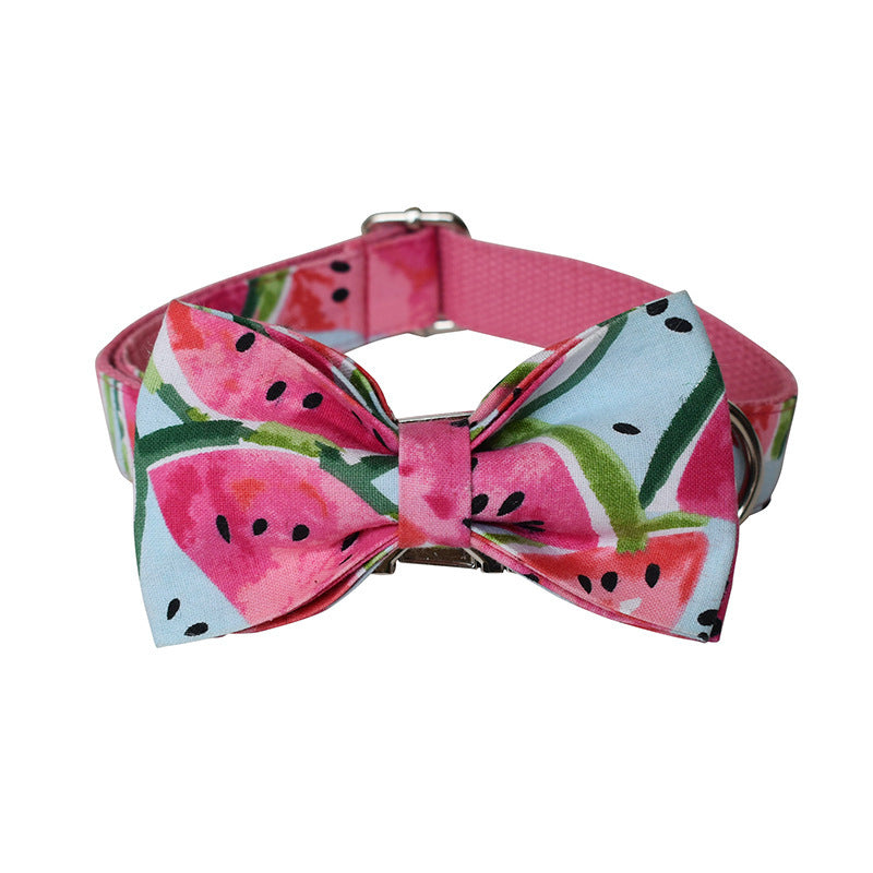 Dog collar with watermelon pattern bow tie on a white background