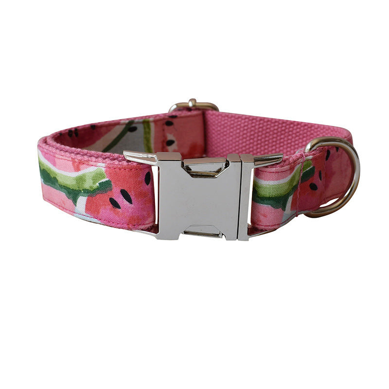 Pink dog collar with watermelon pattern and silver buckle on a white background