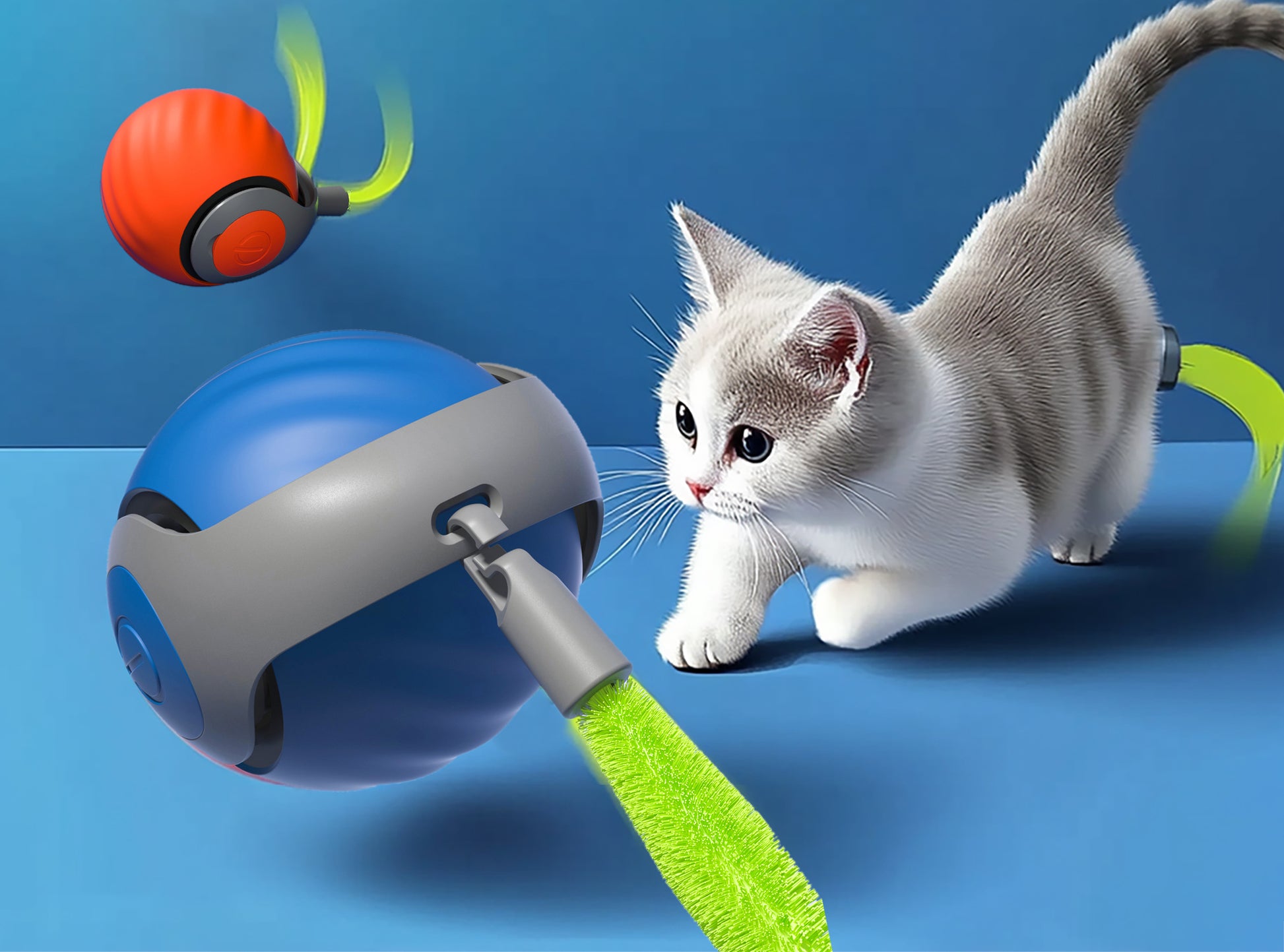 Cat playing with a toy on a blue background