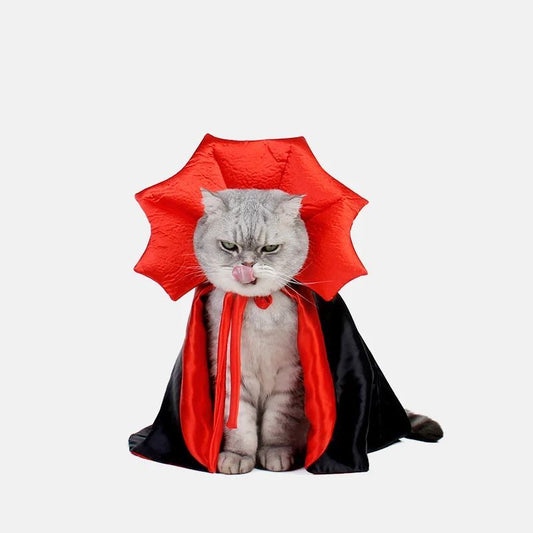 Cat wearing a vampire costume with a red cape and black outfit on a white background