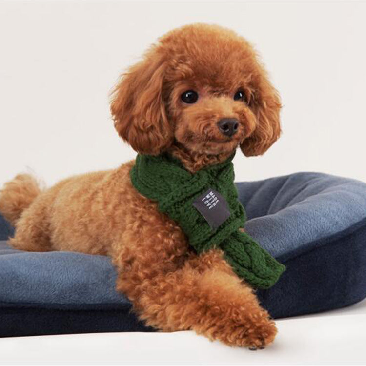 Small brown dog wearing a green scarf on a blue cushion
