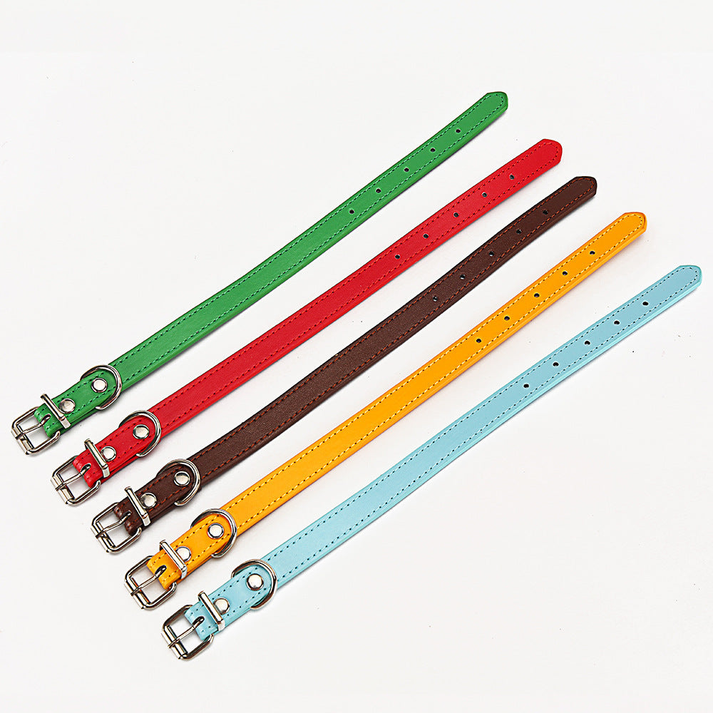 Set of colorful leather dog collars on a white background