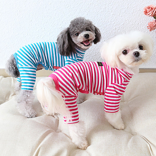 Two small dogs wearing striped pajamas on a white surface.