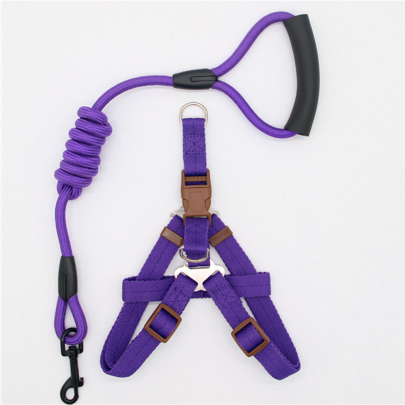 Purple dog harness and leash set on a white background
