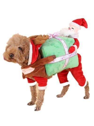 Dog wearing a Santa Claus costume with a toy sleigh and presents on a white background
