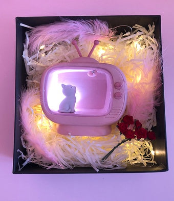 Small pink vintage-style television set with a cat on the screen, surrounded by decorative materials in a box.