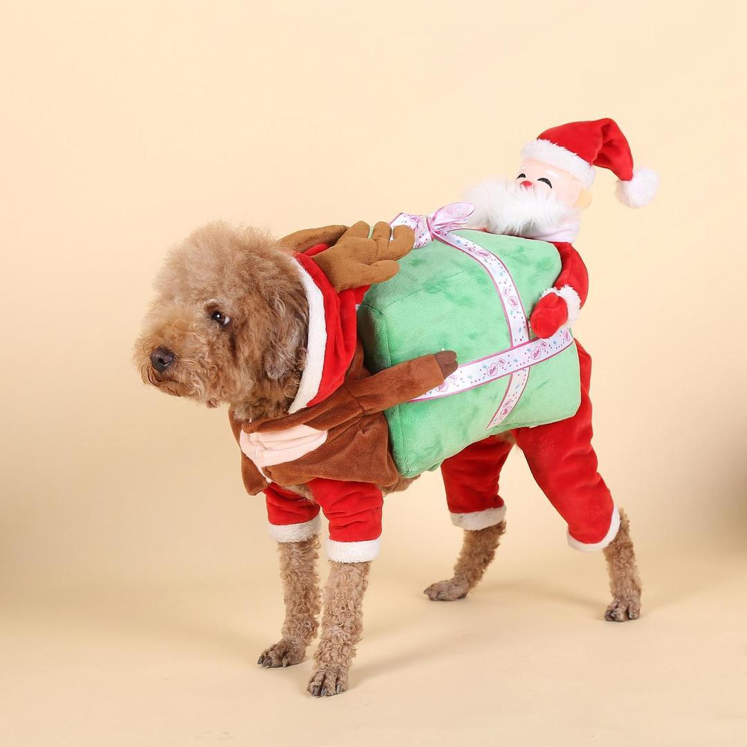 Dog wearing a Santa Claus costume with a green bag on a beige background