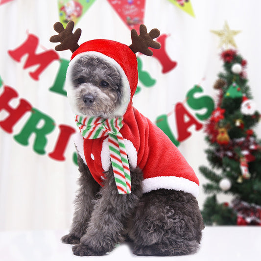 Dog wearing a festive outfit with reindeer antlers and a scarf, standing in front of Christmas-themed decorations.