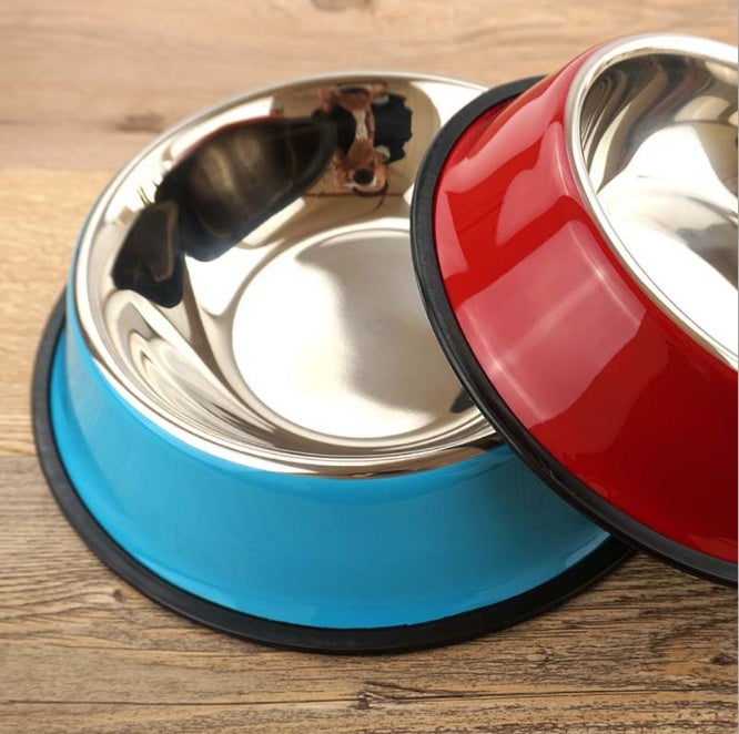 Two stainless steel pet bowls, one blue and one red, on a wooden surface.