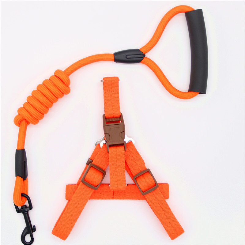Orange dog leash with coiled design and black ends on a white background