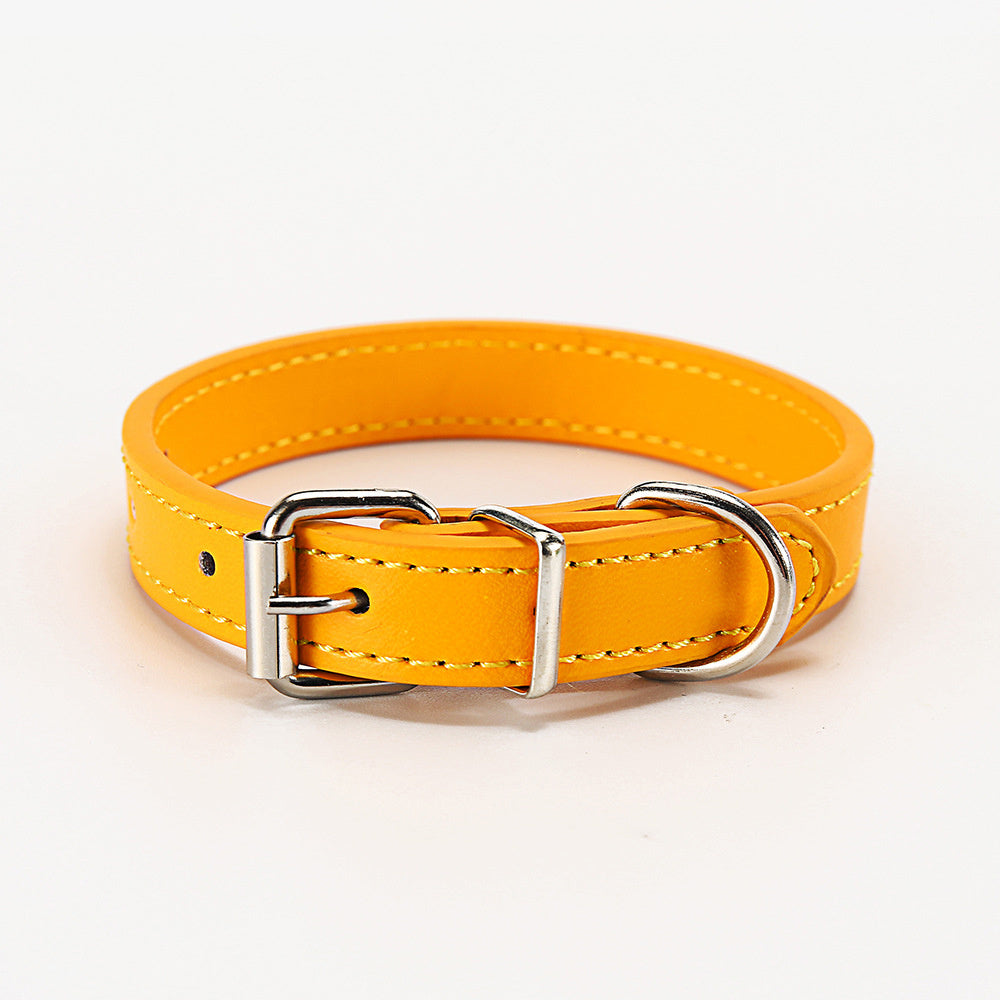 Yellow dog collar with silver buckle on a white background