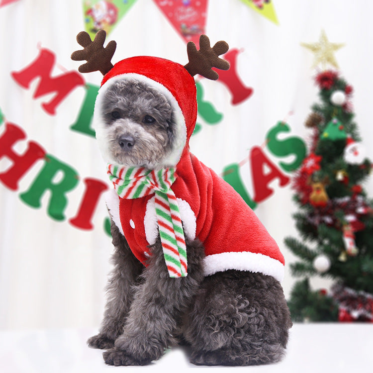 Dog wearing a festive outfit with reindeer antlers and a scarf, standing in front of Christmas-themed decorations.