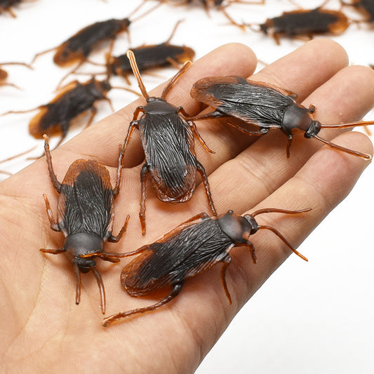 Hand holding several realistic cockroach toys with a white background