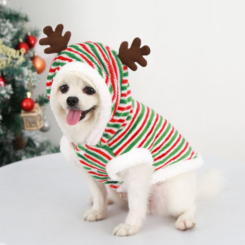 Dog wearing a red and green striped hoodie with reindeer antlers in front of a Christmas tree.