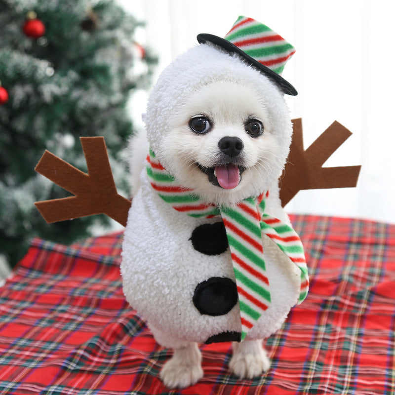 Dog wearing a snowman costume with a striped scarf and reindeer antlers on a plaid background.