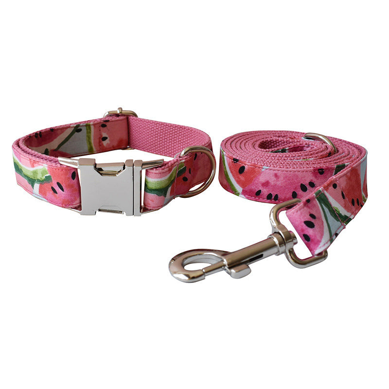 Dog collar and leash set with watermelon pattern on a white background