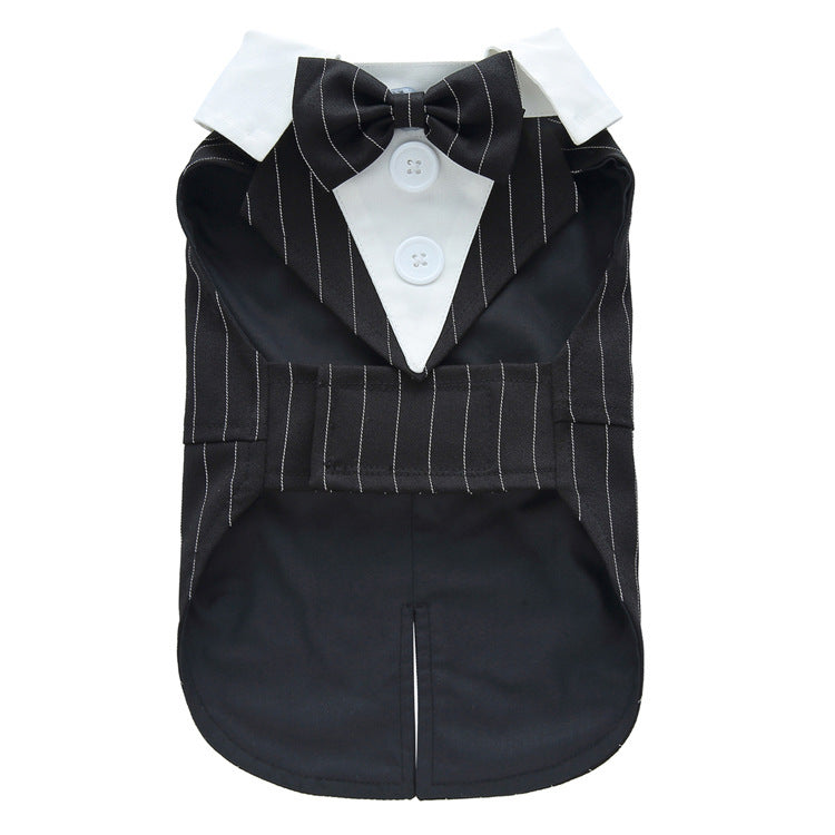 Black pinstripe dog tuxedo with white shirt and bow tie on a white background