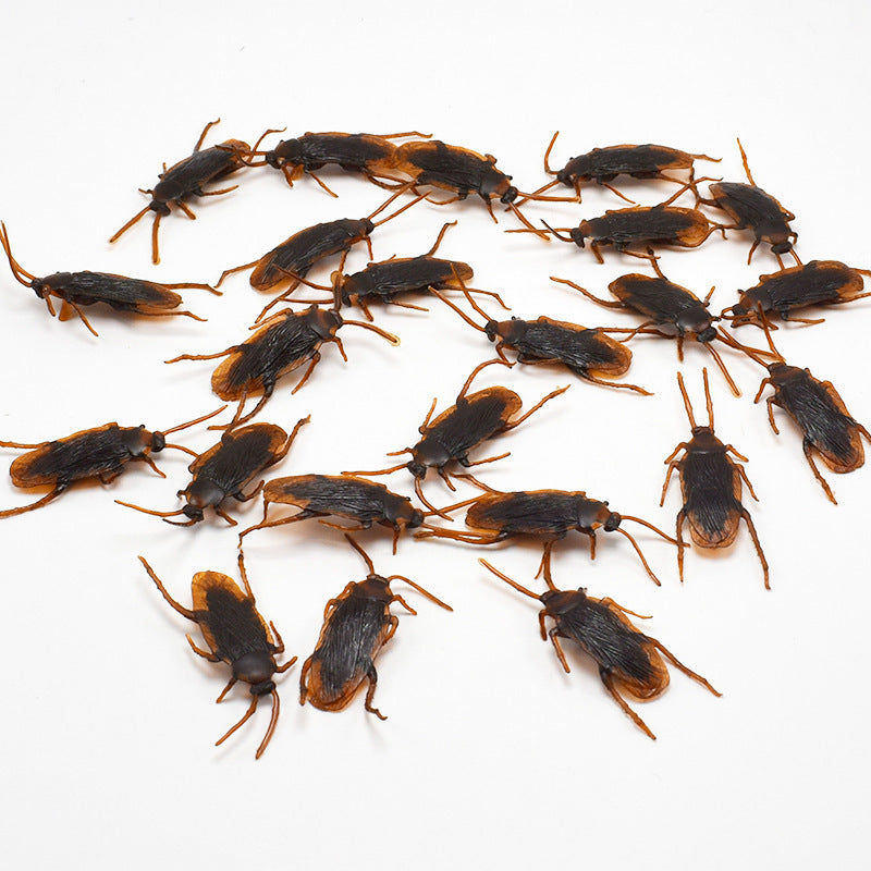 Multiple small insects on a white background