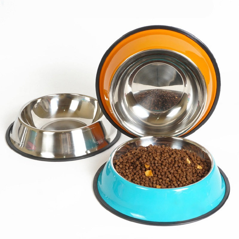 Set of three pet bowls with different colored rims on a white background
