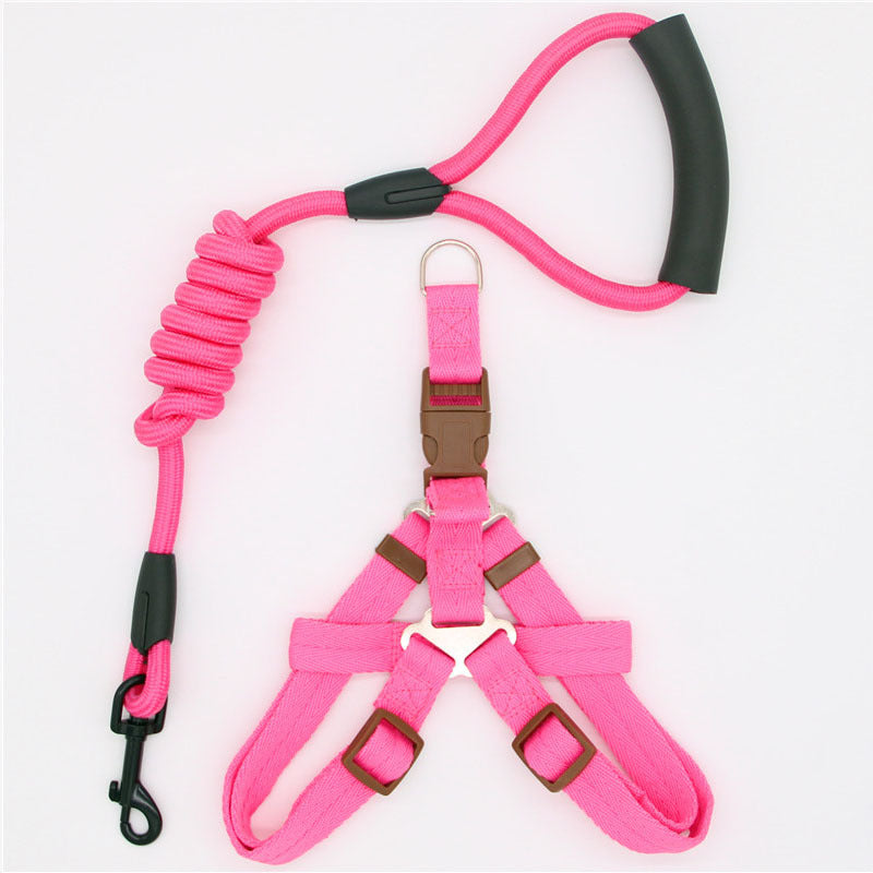 Pink dog leash and harness set with coiled rope on a white background