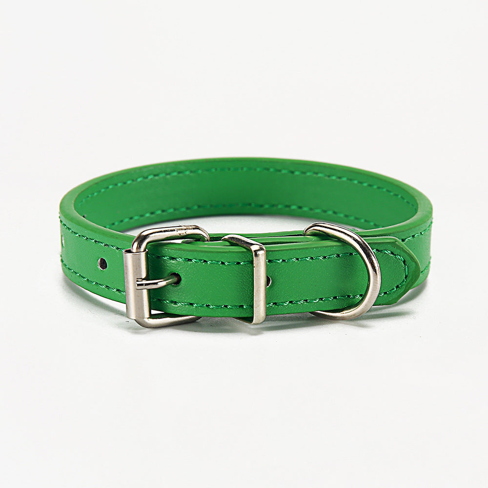 Green leather dog collar with silver buckle on a light gray background