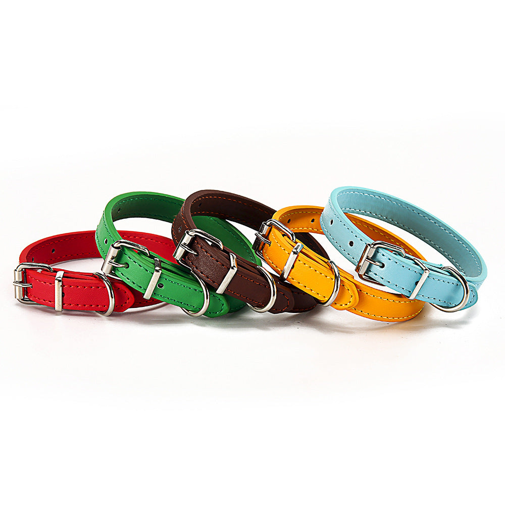 Five colorful dog collars arranged in a row on a white background
