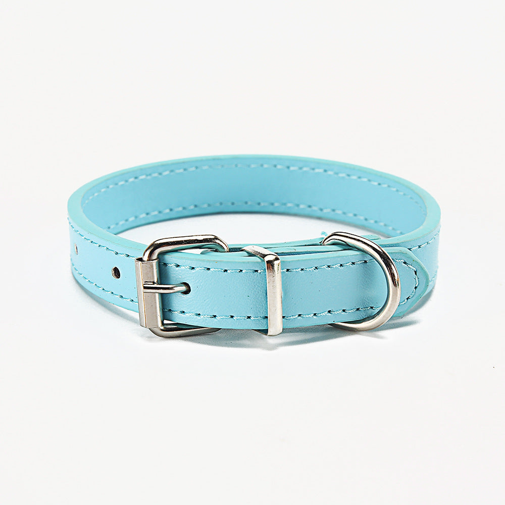 Light blue dog collar with silver buckle and ring on a white background