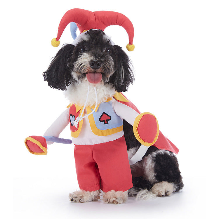 Dog wearing a jester costume with a red hat, cape, and pants on a white background