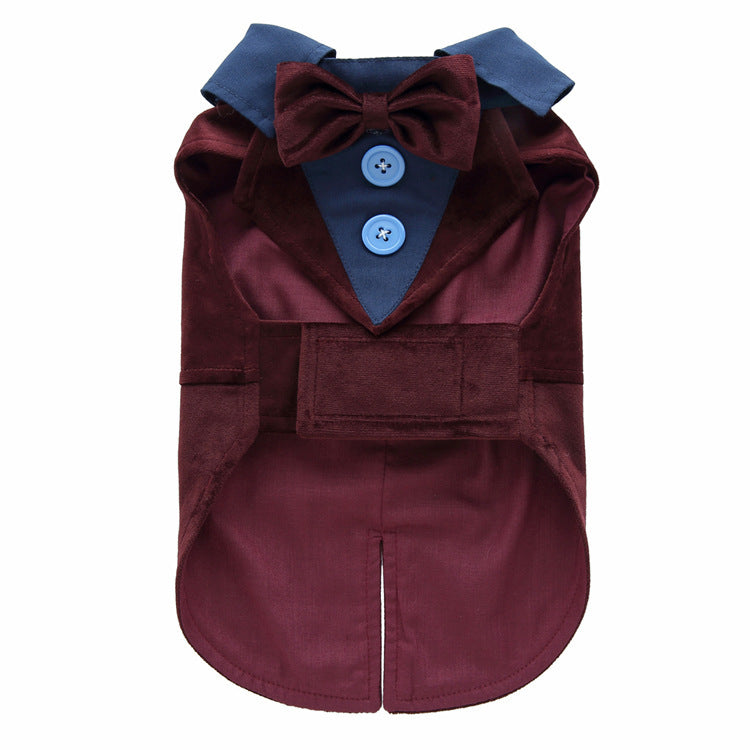 Maroon dog coat with blue bow tie and buttons on a white background