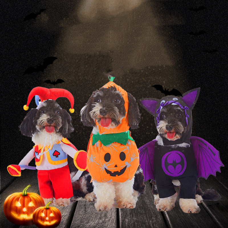Three dogs in Halloween costumes on a dark background with pumpkins.