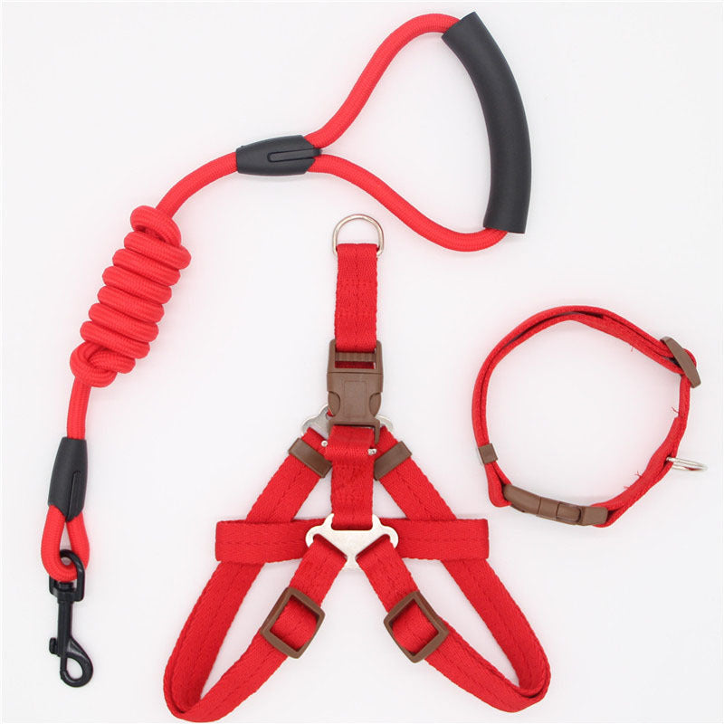 Red dog harness, leash, and collar set on a white background