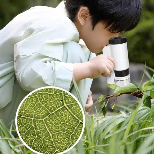 Child using a microscope to examine a leaf with a close-up inset of leaf details.