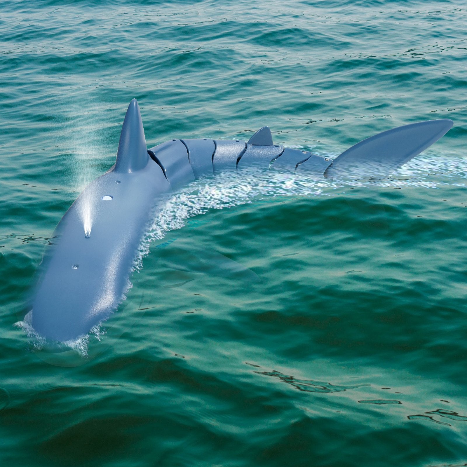 Blue shark swimming in turquoise ocean water