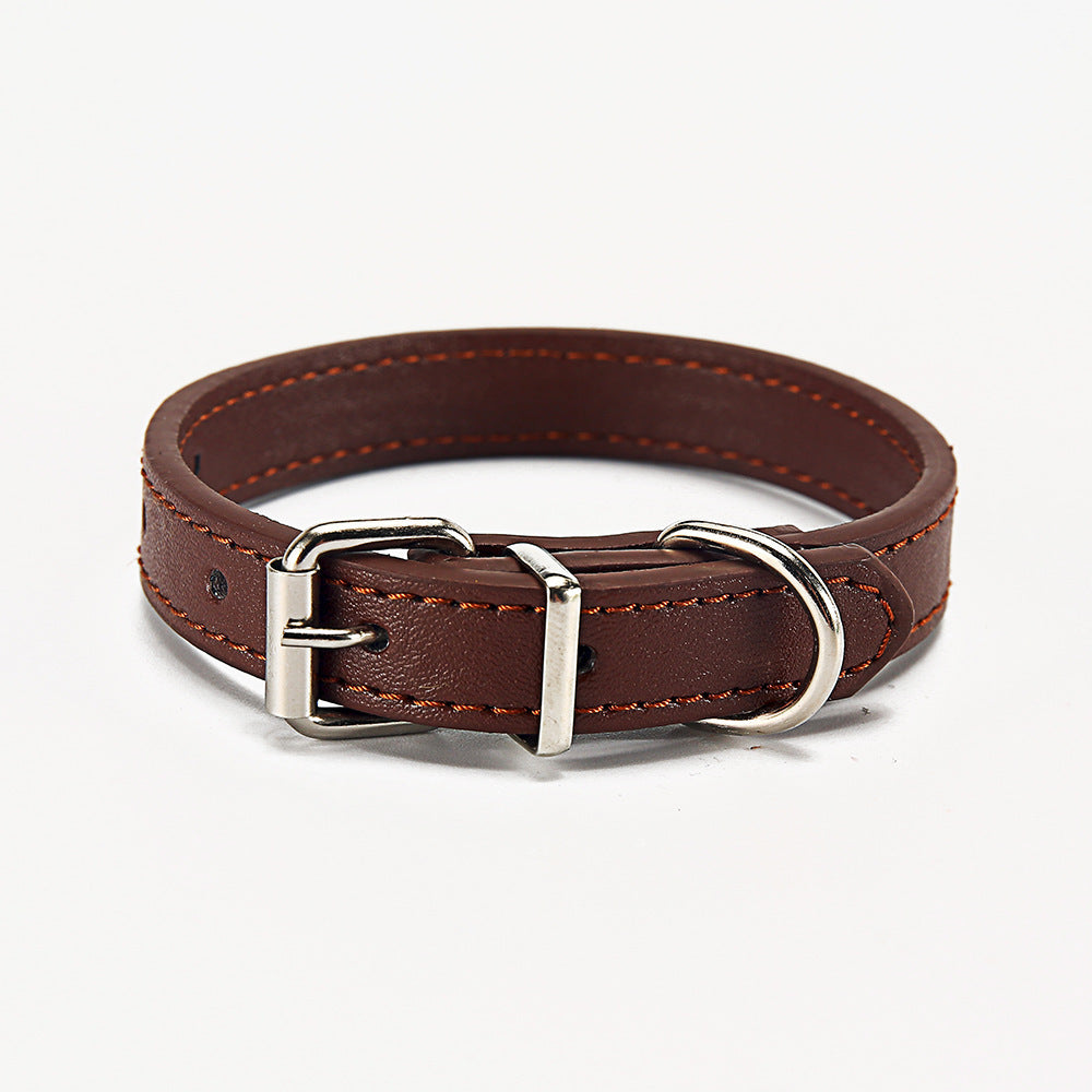 Brown leather dog collar with silver buckle on a white background