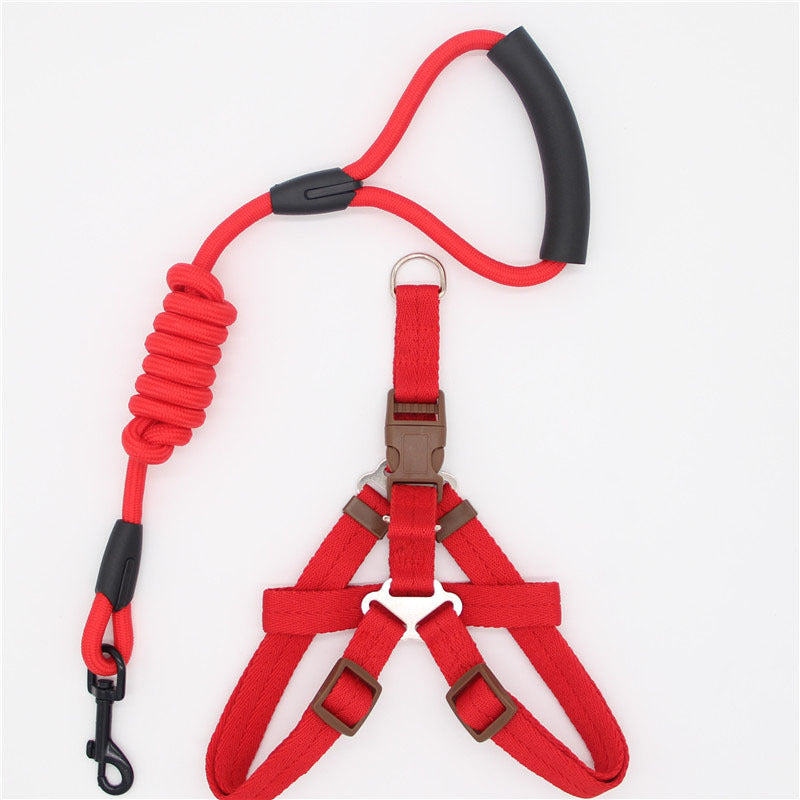 Red dog harness and leash set with coiled red rope on a white background