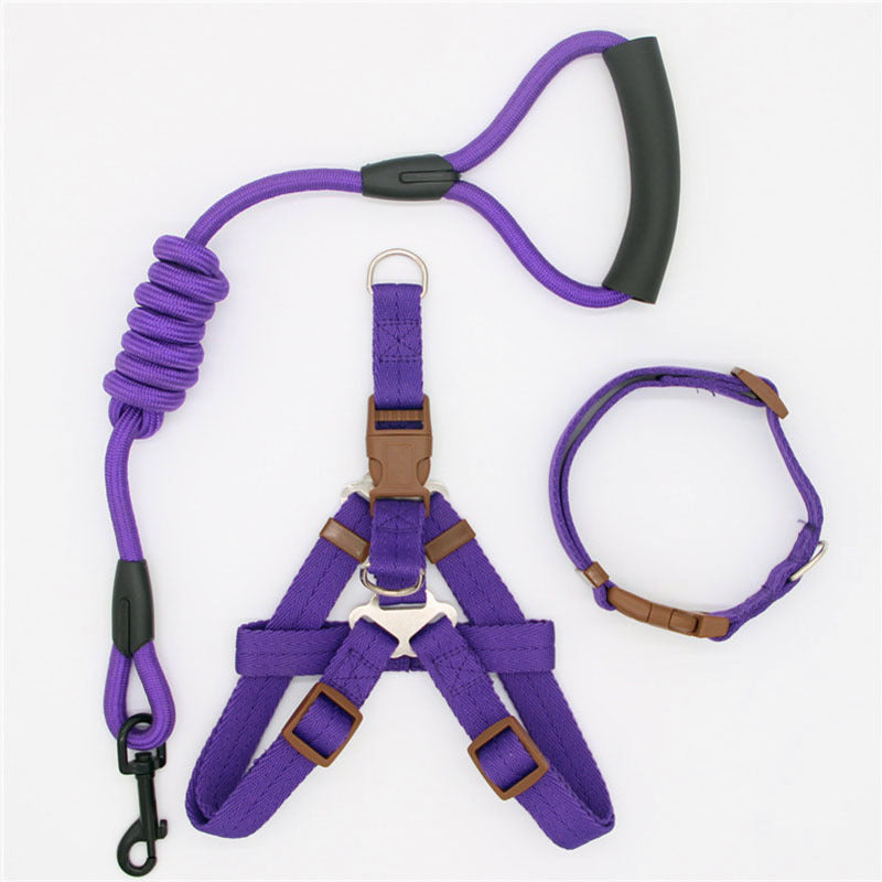 Purple dog harness, leash, and collar set on a white background