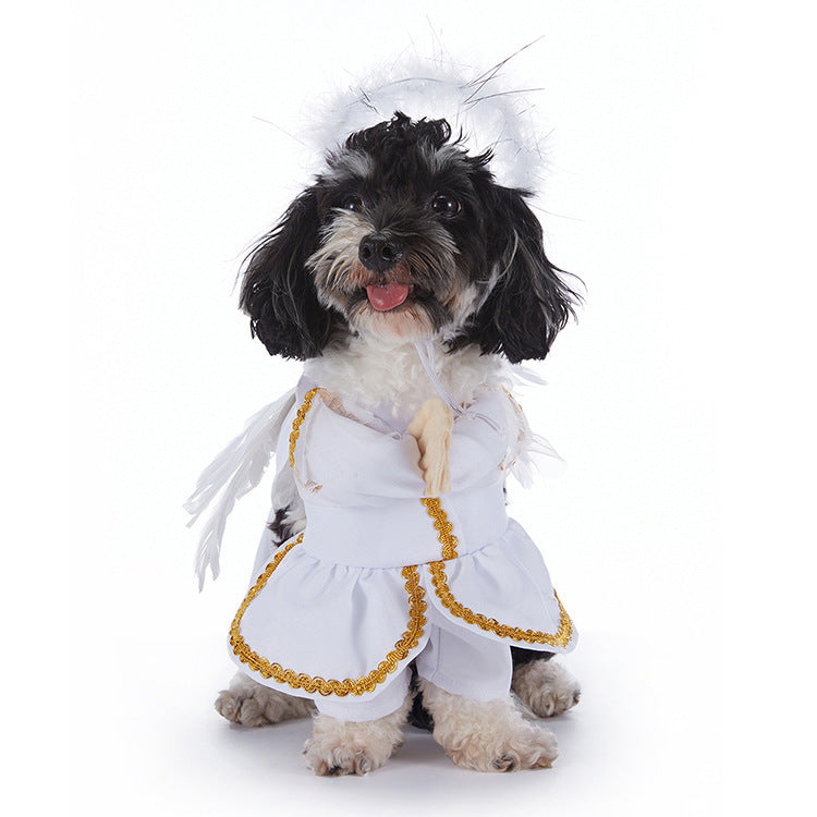 Dog wearing an angel costume with a white background